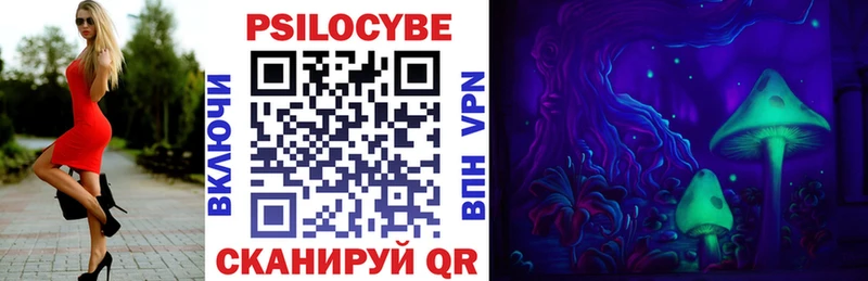 kraken сайт  Чернушка  Псилоцибиновые грибы мицелий 