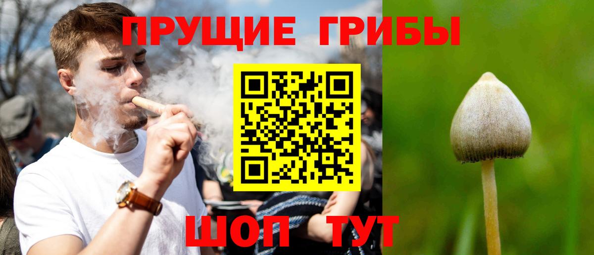 Чернушка  Псилоцибиновые грибы Magic Shrooms  Вход с VPN  Псилоцибиновые грибы мухоморы 
